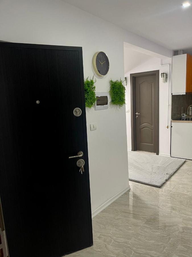 Cozy Apartament With 2Rooms 티미쇼아라 외부 사진